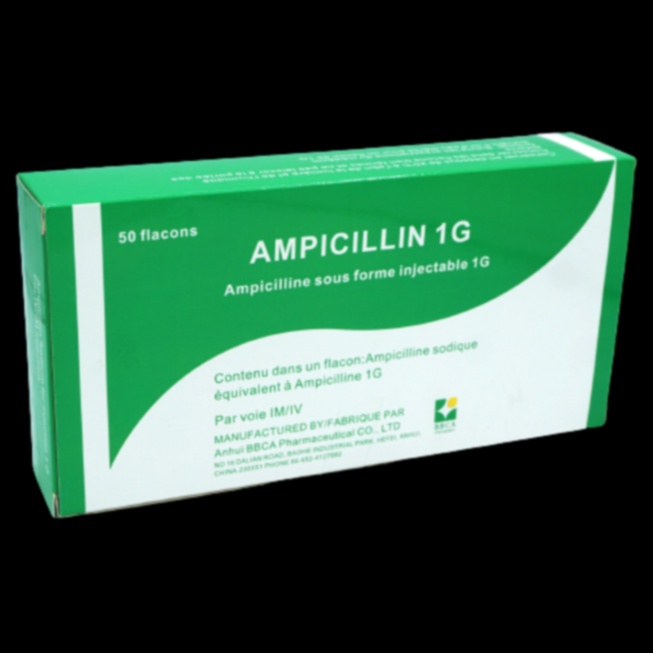 ampicillin